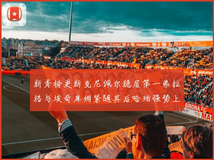 新秀榜更新克尼佩尔稳居第一弗拉格与埃奇库姆紧随其后哈珀强势上升至第四位